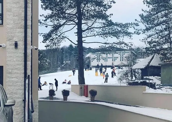 Air, * ズラティボール